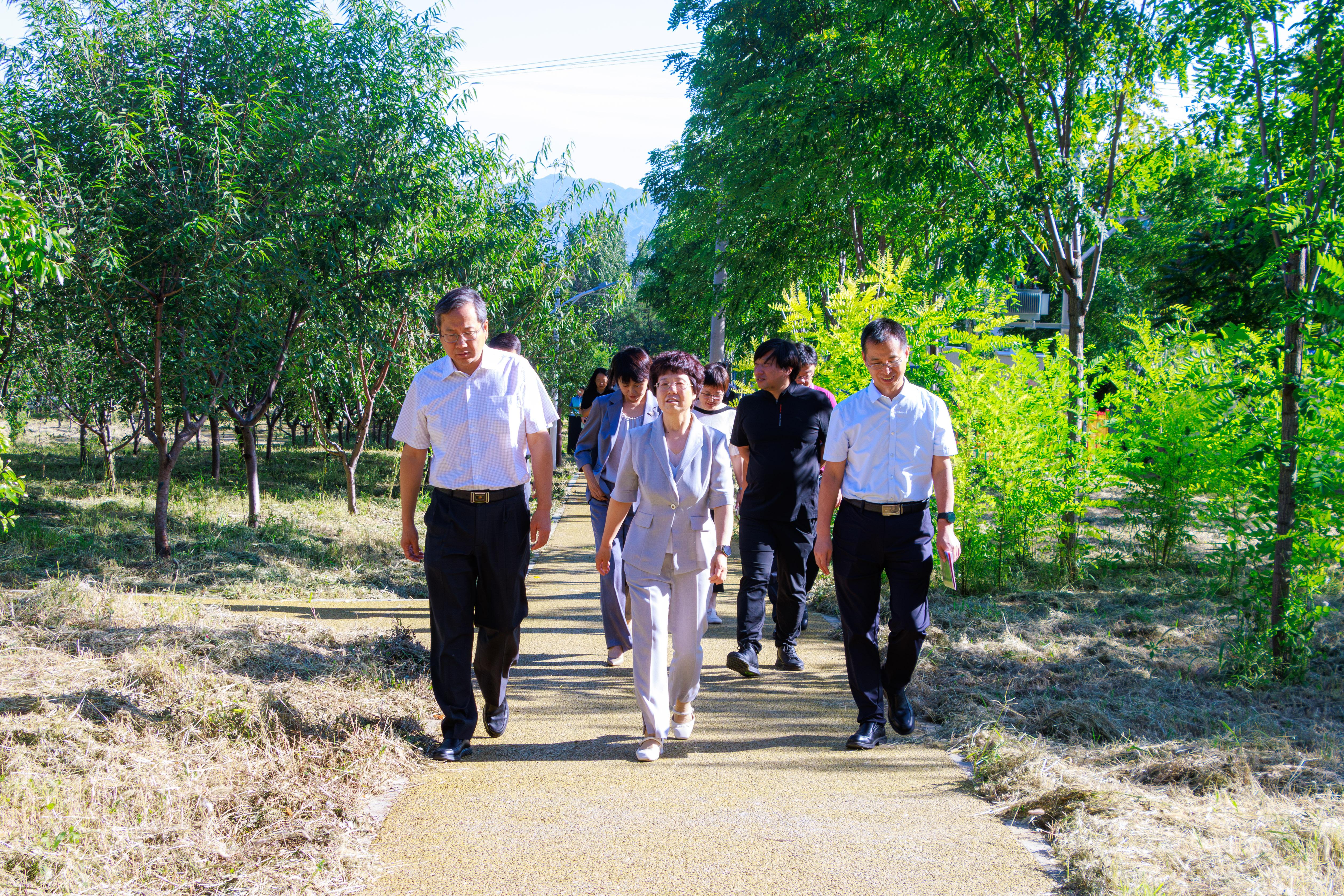 微信图片_20250911111619_38_2.jpg 微信图片_20250911111619_38_2.jpg