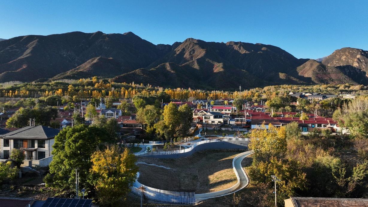 图片8.png 图片8.png